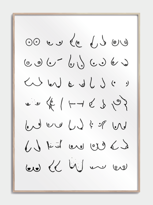 Boobies Poster, nr.3 S (30x42, A3)