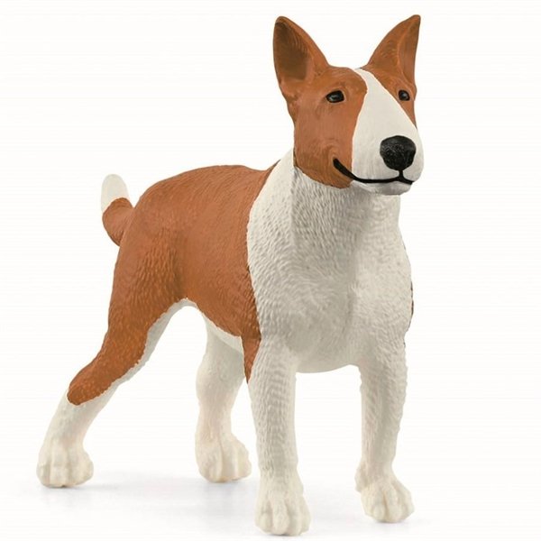 Bullterrier