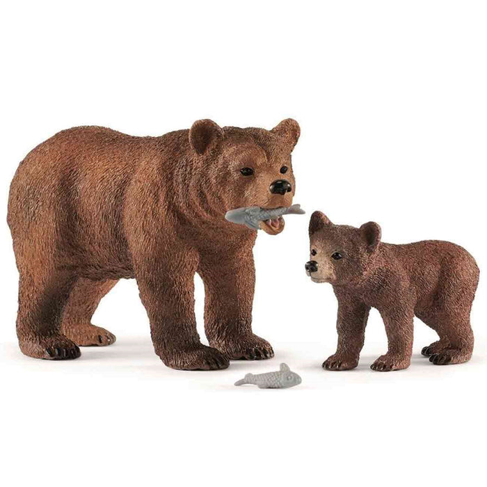 Grizzlybär mit Jungen