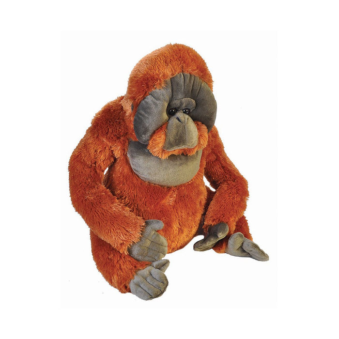 Orang-Utan, 75 cm