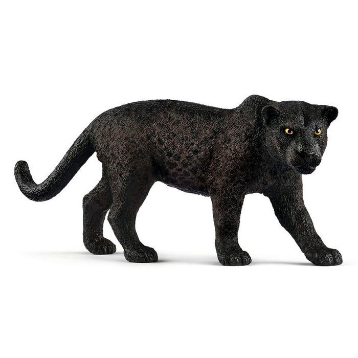 Schwarzer Panther