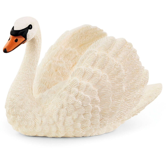 Schwan