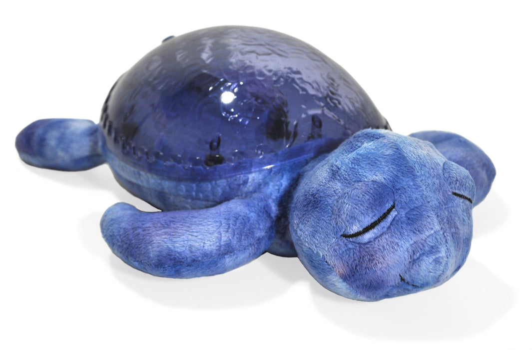 Tranquil Turtle, ozean