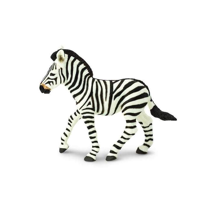 Zebrafohlen